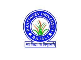 Bhattadev University